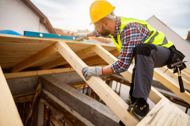 Roof Gutter Cleaning in New Martinsville, WV